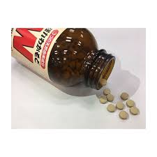 Japanese Wakamoto Strong Gastrointestinal Supplement 300 Tablets若本胃整腸片