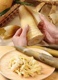 Long Home Pickled BambooShoots (Sliced) 600g 台灣龍宏香脆筍