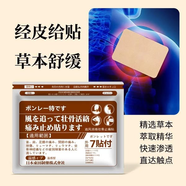 Rheumatism And Bone Strengthening And Pain Relief Patch 7pcs東田追風活絡壯骨止痛保健貼
