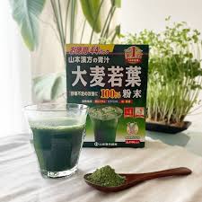 Yamamoto Kanpo Barley Green Powder Juice 100% Aojiru 132g (3g x44pcs)大麥若葉100%青汁山本漢方美容排毒