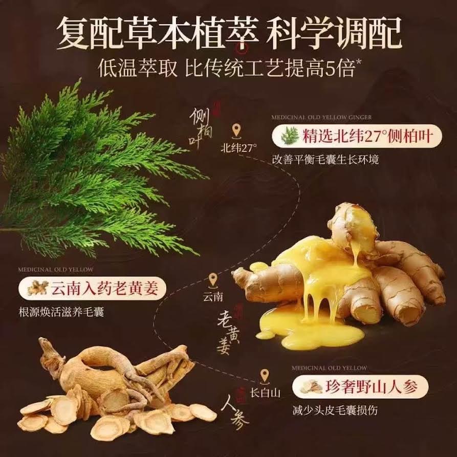 Netst Multi-Botanical Concentrated Extract Shampoo 500ml側柏葉植物洗髮精