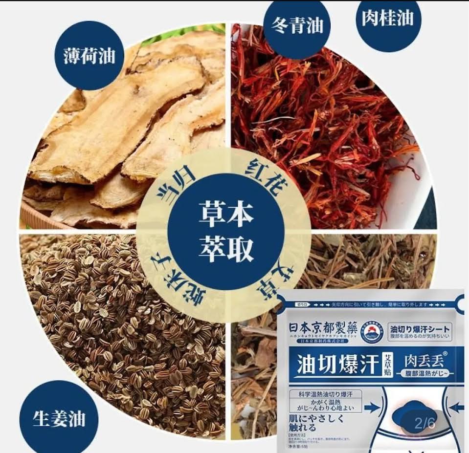 Herbal Weight Lose Patch 5pcs日本京都製藥油切汗艾草貼