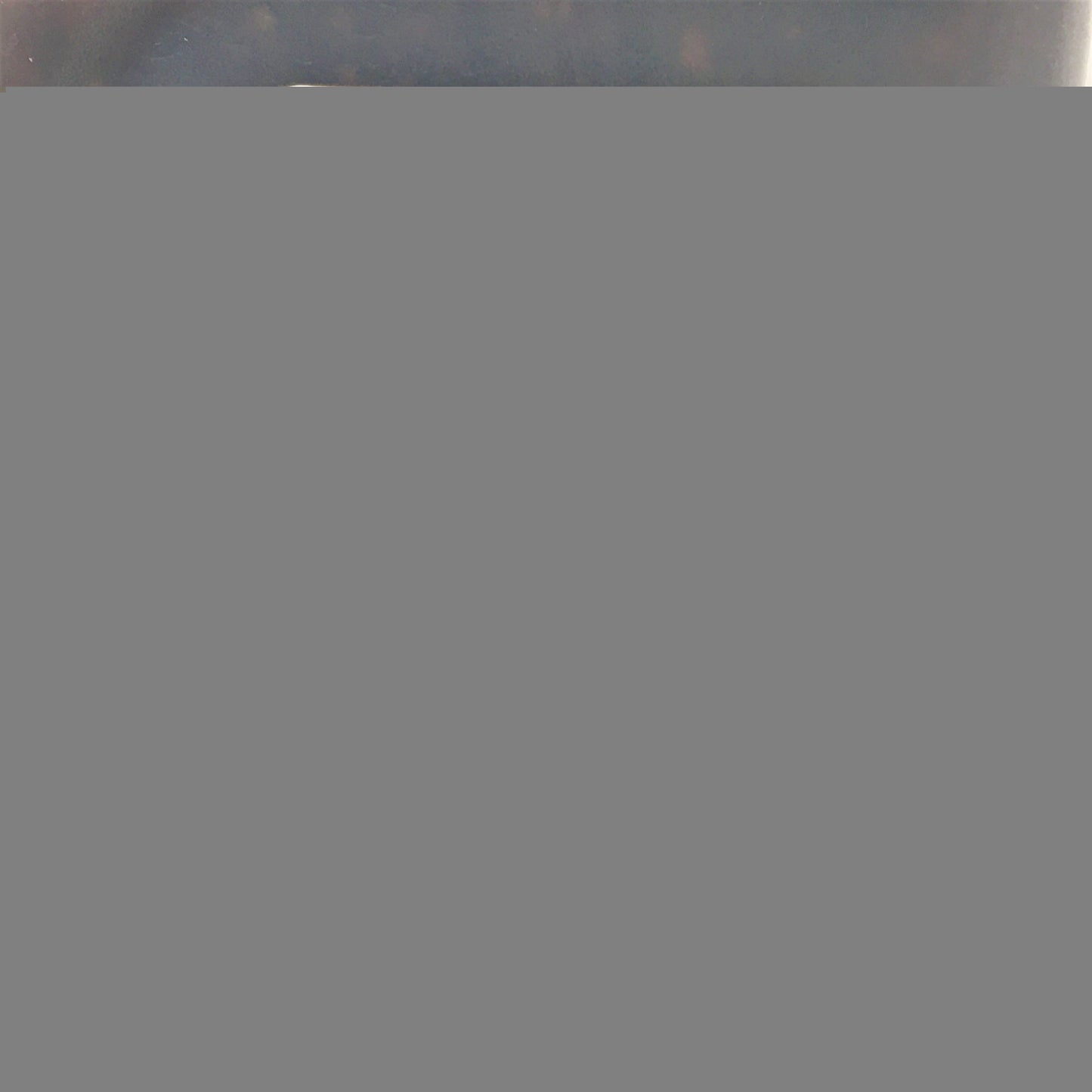 Nippon Shokken Black Pepper Sauce 4.8lb /2.18kg