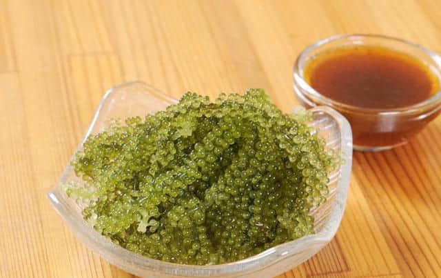 Umibudo Dehydrated Sea Grapes 海葡萄 40g/(2pc)