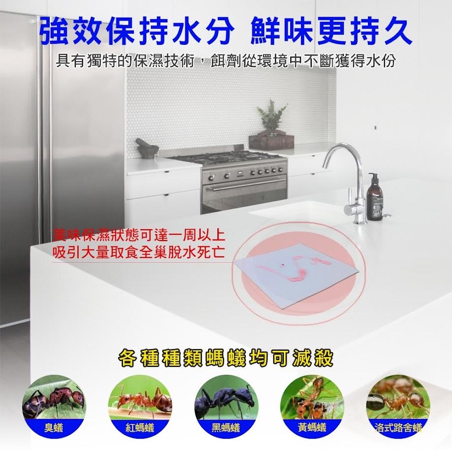 Up Your Life Anti Ants 80g屈臣氏優品蟻絕劑除蟻膏